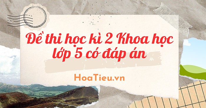 Top 5 Đề thi học kì 2 Khoa học lớp 5 năm học 2023 – 2023 có đáp án