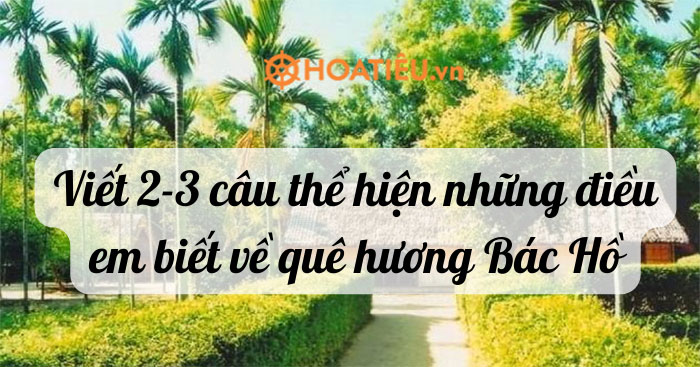 Viết 2-3 câu thể hiện những điều em biết về quê hương Bác Hồ