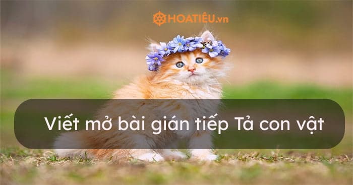 Viết mở bài gián tiếp Tả con vật (10 mẫu)