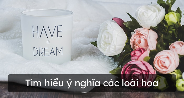 Ý nghĩa các loài hoa