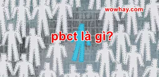 pbct là gì? Đúng nhất đọc ngay