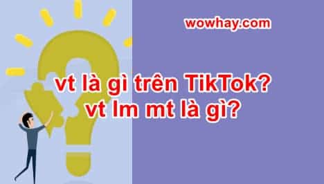 vt là gì trên TikTok? vt lm mt là gì? Đúng nhất