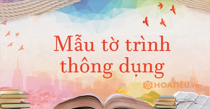 8 Mẫu tờ trình 2023 thông dụng nhất (Mới cập nhật)