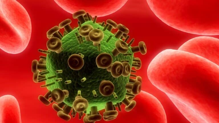 HIV là gì? Nguyên nhân, triệu chứng và cách phòng ngừa HIV