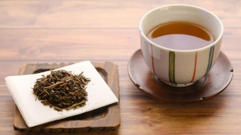 Hojicha là gì? Các loại trà Hojicha, cách pha trà và công dụng khi uống