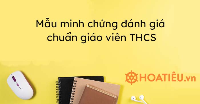 Thống kê minh chứng chuẩn giáo viên THCS 2023