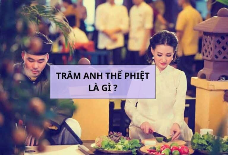 Trâm anh thế phiệt là gì? Điểm danh loạt sao con nhà trâm anh thế phiệt